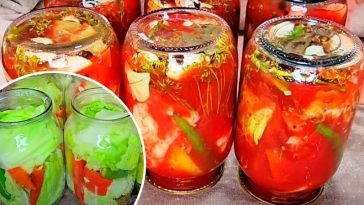 Капуста в томатному соку на зиму — простий рецепт, від якого взимку пальчики оближеш!