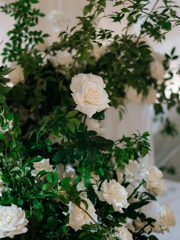 Дружина Усика вразила розкішним святкуванням річниці шлюбу: романтика, стиль і кохання