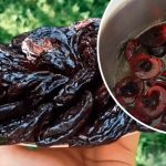 Домашні цукати зі слив — солодкий скарб до чаювання