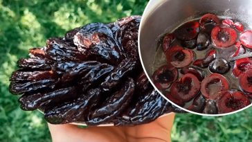 Домашні цукати зі слив — солодкий скарб до чаювання