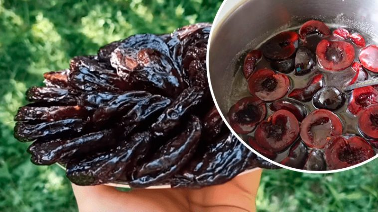 Домашні цукати зі слив — солодкий скарб до чаювання