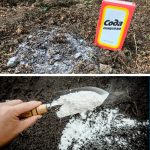 Осінній секрет урожаю: сода для грядок