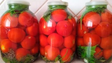 Квашені помідори під капронову кришку – легкий рецепт на 3-літрову банку