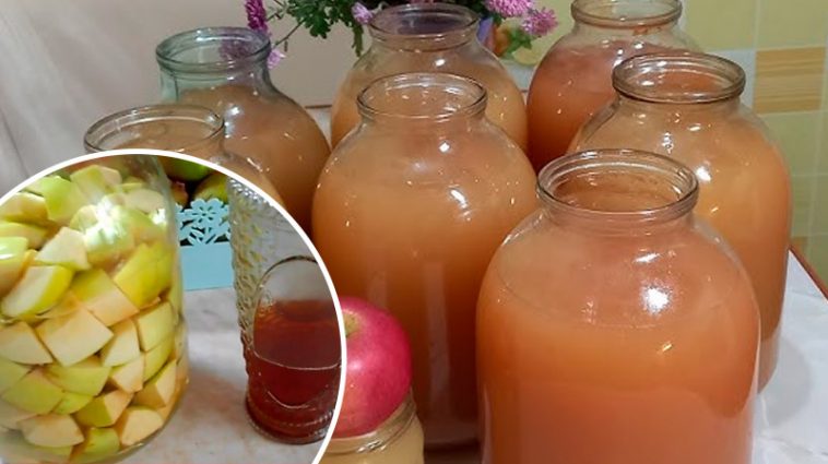 Домашній яблучний оцет — натуральний еліксир від господині