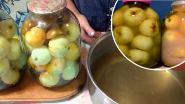 Цілі консервовані яблука на зиму – смак з дитинства