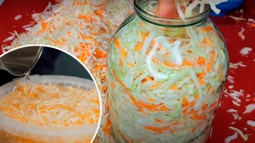 Класична квашена капуста – хрумкий скарб із бабусиної кухні