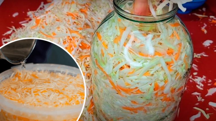 Класична квашена капуста – хрумкий скарб із бабусиної кухні