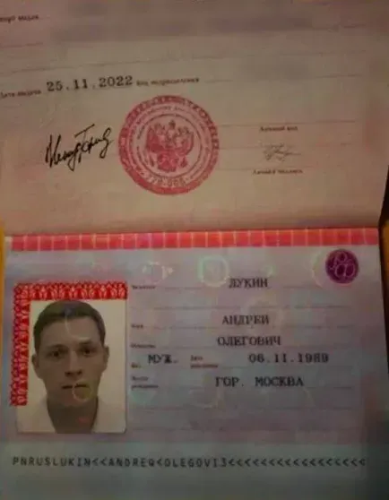 Лариса Доліна