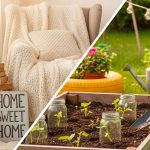 Все для дому та дачі: як створити затишок і стиль без зайвих витрат