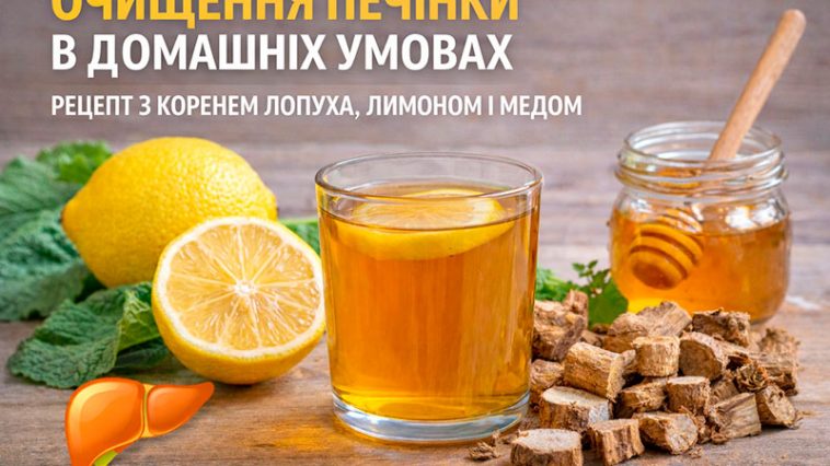Очищення печінки в домашніх умовах: натуральний рецепт з коренем лопуха, лимоном і медом