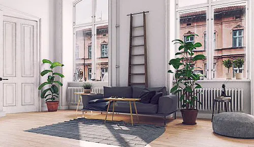 Corner Plant in a Modern Studio