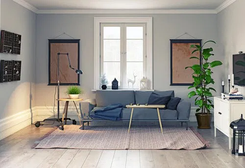 Tall Potted Plant at the Corner of a Modern Living Room