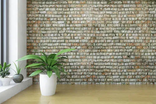 Stubby Planter in a Corner