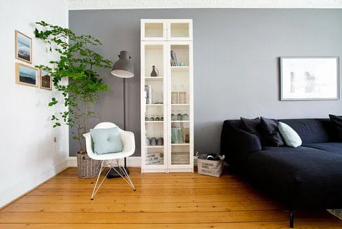 A Tall Corner Shelf with Climbing Plant and Chair