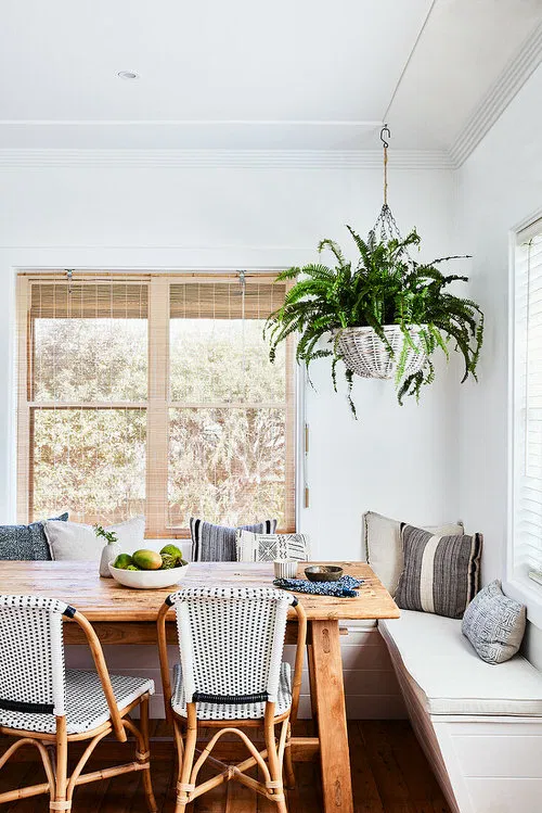 Hanging Fern at a Celing's Corner