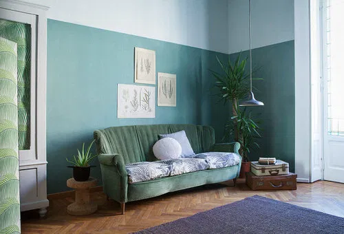 Green Couch with Matching Wall and an Aloe