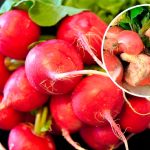 Редис під загрозою: одна помилка — і врожай піде тріщинами