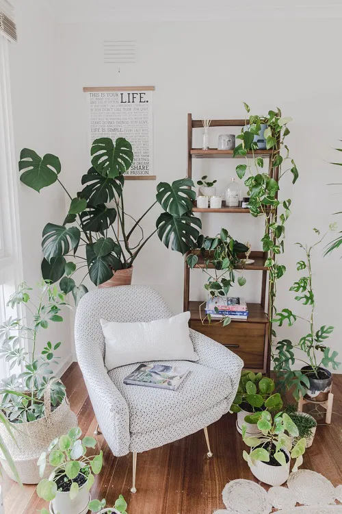 A Reading Nook Amidst Jolly Houseplants